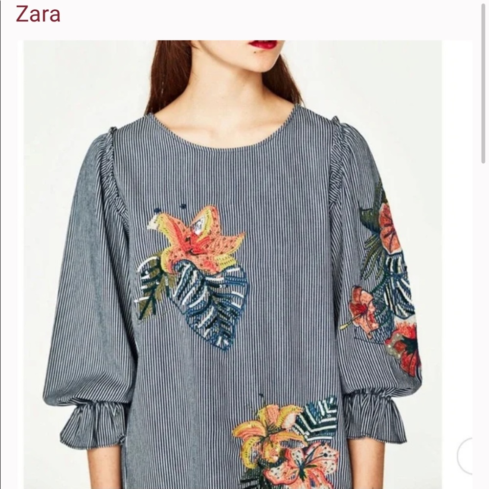 Zara embroidered Denim balloon sleeve Top